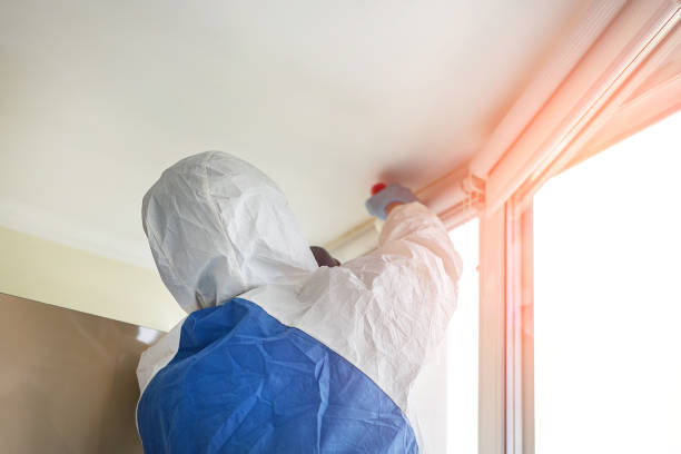 Asbestos and Lead Testing During Mold Inspection in Williams, CA