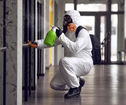 Best Mold Remediation for Healthcare Facilities  in Williams, CA