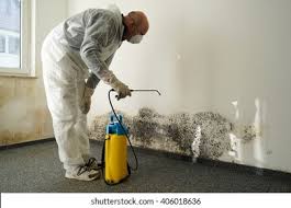 Mold Remediation for Vacation Homes in Williams, CA